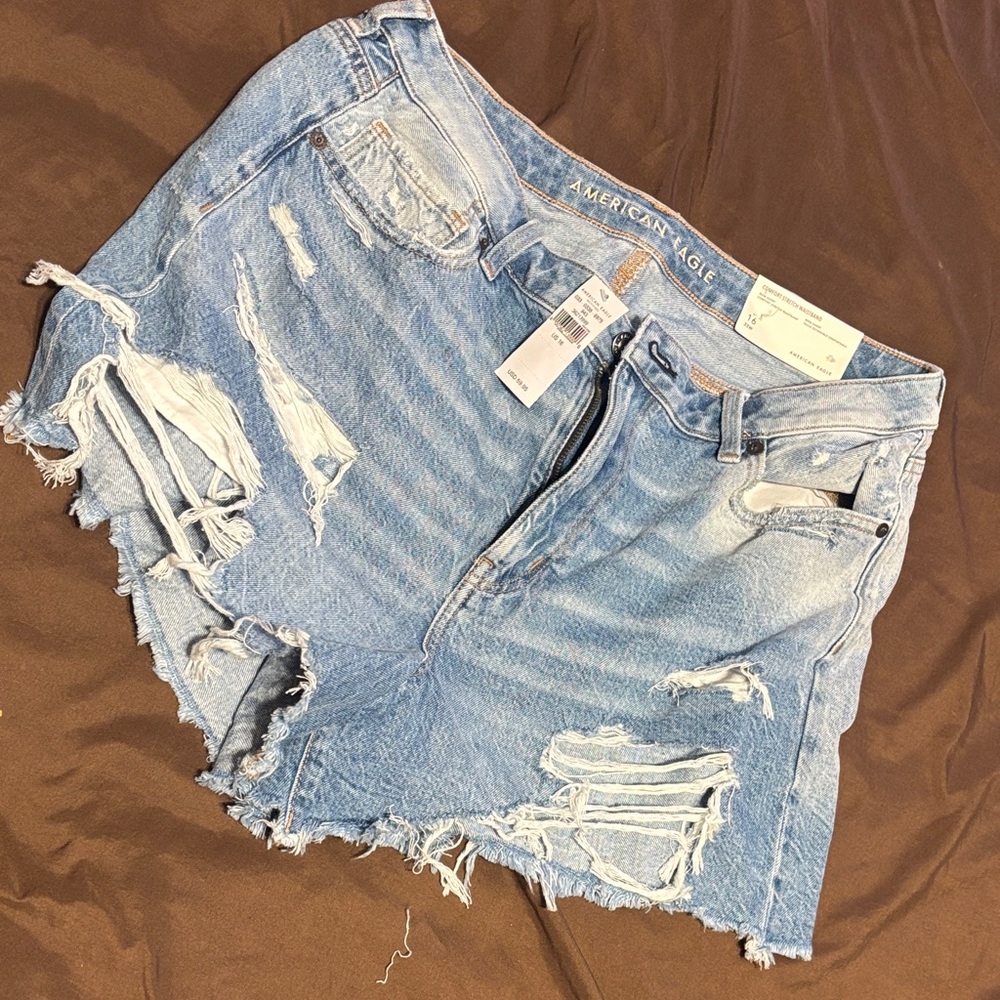 American Eagle Outfitters Light Blue Ripped Jean Shorts